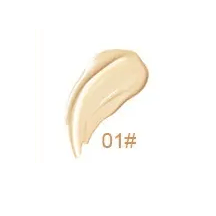 Vanish Perfecting Concealer - MQO 12 pcs