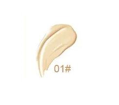 Vanish Perfecting Concealer - MQO 25 pcs