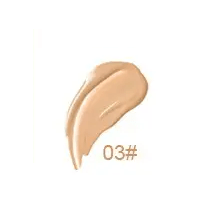 Vanish Perfecting Concealer - MQO 12 pcs