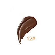 Vanish Perfecting Concealer - MQO 12 pcs