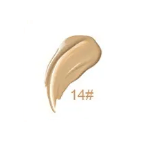 Vanish Perfecting Concealer - MQO 12 pcs