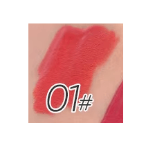 Double Take Long Lasting Rouge - MQO 25pcs