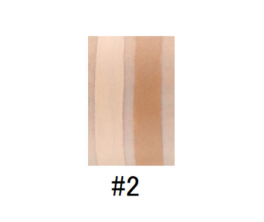 Dual Pro Concealer and Contour Stick