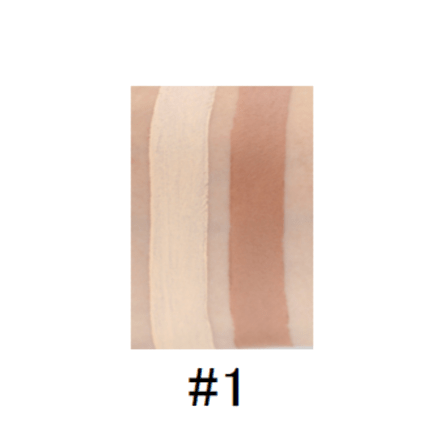 Dual Pro Concealer and Contour Stick - MQO 25 pcs