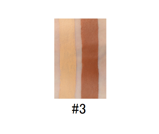 Dual Pro Concealer and Contour Stick - MQO 12 pcs - TASH Cosmetics, LLC