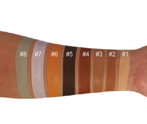 Perfect Canvas Oil Control Concealer - MQO 12 pcs