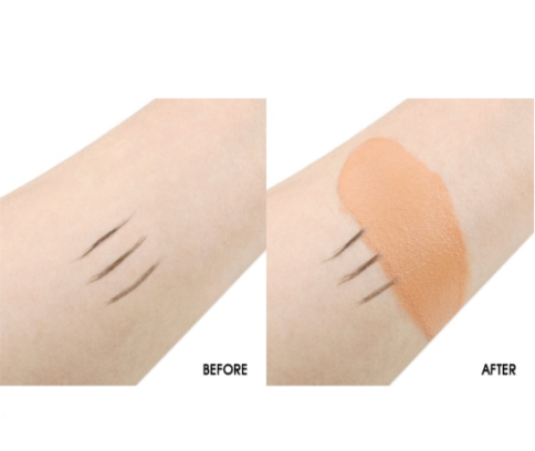 Perfect Canvas Oil Control Concealer - MQO 25 pcs