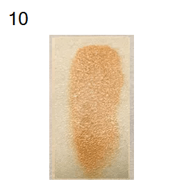 Skin Rescue Flawless Concealer - MOQ 12pcs