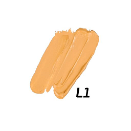 PRO Filter Perfecting Concealer Concealer - MQO 25 pcs