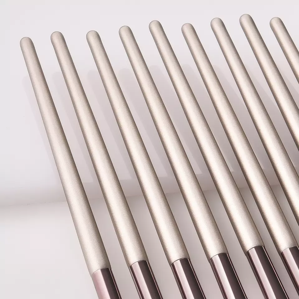 12 Piece Designer Pro Brush Set - MQO 25 pcs