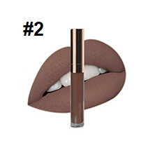 40 Shade Vegan private label liquid to matte lipstick - MQO 25 pcs