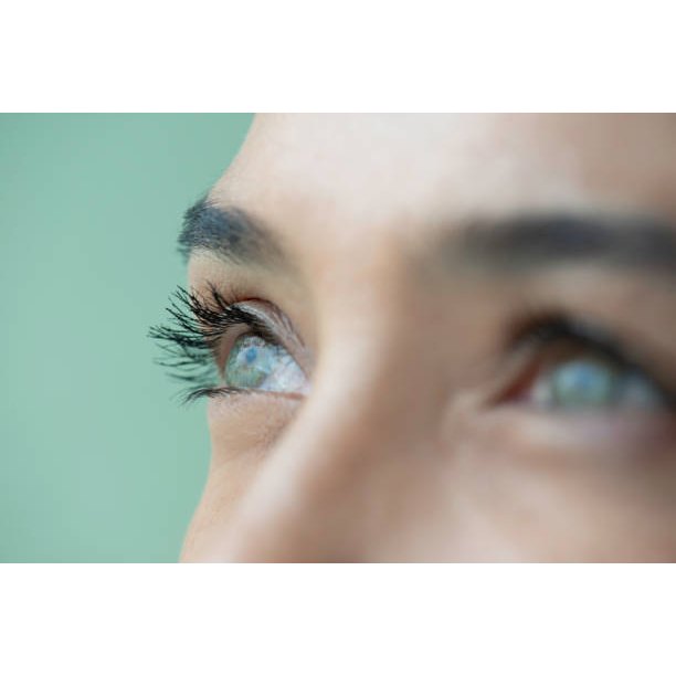 Lash Paradise Lengthening Mascara - MQO 12 pcs