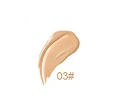 Vanish Perfecting Concealer - MQO 12 pcs