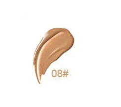 Vanish Perfecting Concealer - MQO 12 pcs