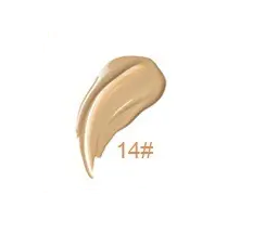 Vanish Perfecting Concealer - MQO 12 pcs