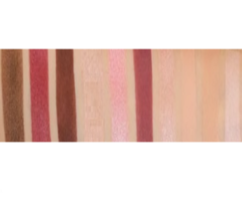 The Blushed Nudes 10 Shade Palette - MQO 12 pcs