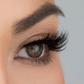 Power Lash Arison - MOQ 12 pcs