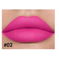 Euphoria Velvet Matte Lipstick - MQO 12 pcs
