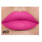 Euphoria Velvet Matte Lipstick - MQO 25 pcs