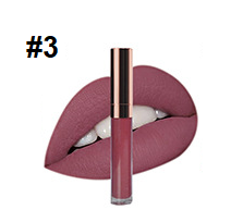 40 Shade Vegan private label liquid to matte lipstick - MQO 12pcs - TASH Cosmetics, LLC