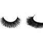 Natural Looking Lashes - #F59 - TASH Cosmetics, LLC